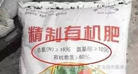 �@3�N���ЙC�ʡ��Ǽٵ���ǧ�f�e�I��