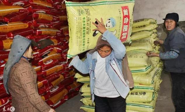 ���軯�����_�֣��@Щ�ڰ��b���ϡ������¡��Ļ��ʿ���׌���w���o�ա���