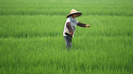 С��׷�ʣ�40Ԫ1���r��ͦ��������С�ġ��Ȼ��@������������