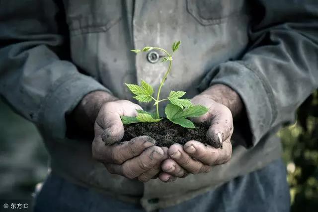 ע�⣡�����ƈF����ð�r��ʩ�p�_����ؽ��N�̱�����·����