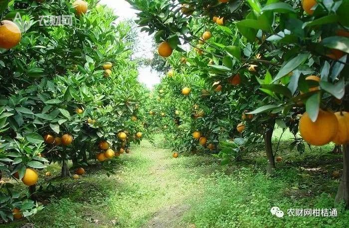 ���rע�����r�Y���ƈF�@�F�و@��������̫���������A�t�g�������e�^��һ�ꡱ�����@Щ��·��Ҫ������