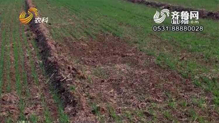 ����S���J���Ƿ��ϼ��� ���Ҍ��ز鿴ԭ����... ...