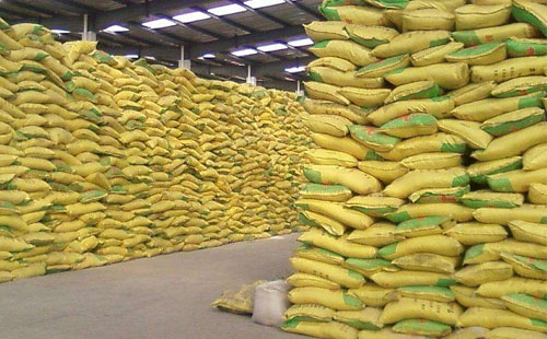 2017��11��24�գ�����(n��i)�����@�r(ji��)���Ј������Ո�(b��o)