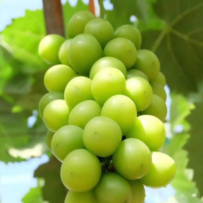 �������ʩ��ʣ�������ʵĺ�̎��ʲô��