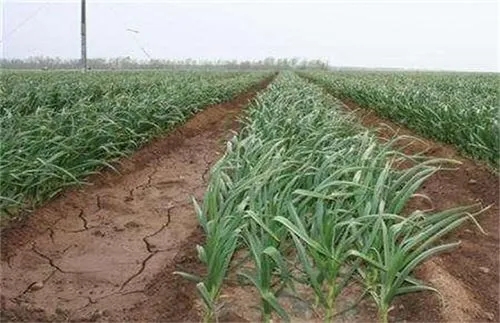 ����׷�ʕr�C��׷�ʷ���������׷��ע����헣�