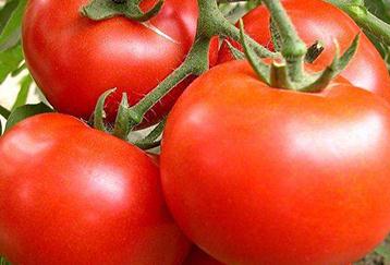 ����ȱ���ô�k������ȱ⛵ķ��η���