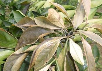 �ʺ��l(f��)����ԭ��