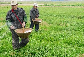 �����ڵ����ʲô���ǲ����أ�