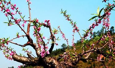 �Ҙ������ôʩ�ã��Ҙ����ʩ�ü��g