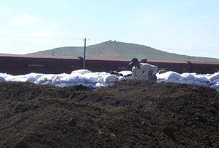 ���ʩ���ЙC�ʲſƌW���������ƌWʩ���ЙC�ʼ��g