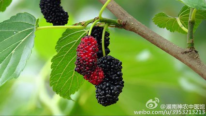 ɣ���ļ�ʩ��Ҫ�c