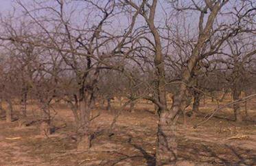 ������ôʩ���ӷʣ�������ʩ���ӷʵķ���