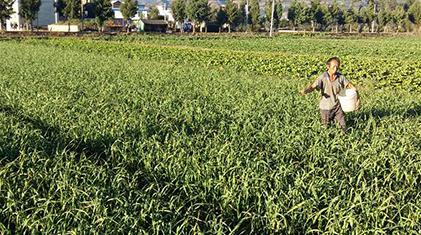 ���⌣�÷���ô�ã����⌣�÷ʵ��x�ú�����