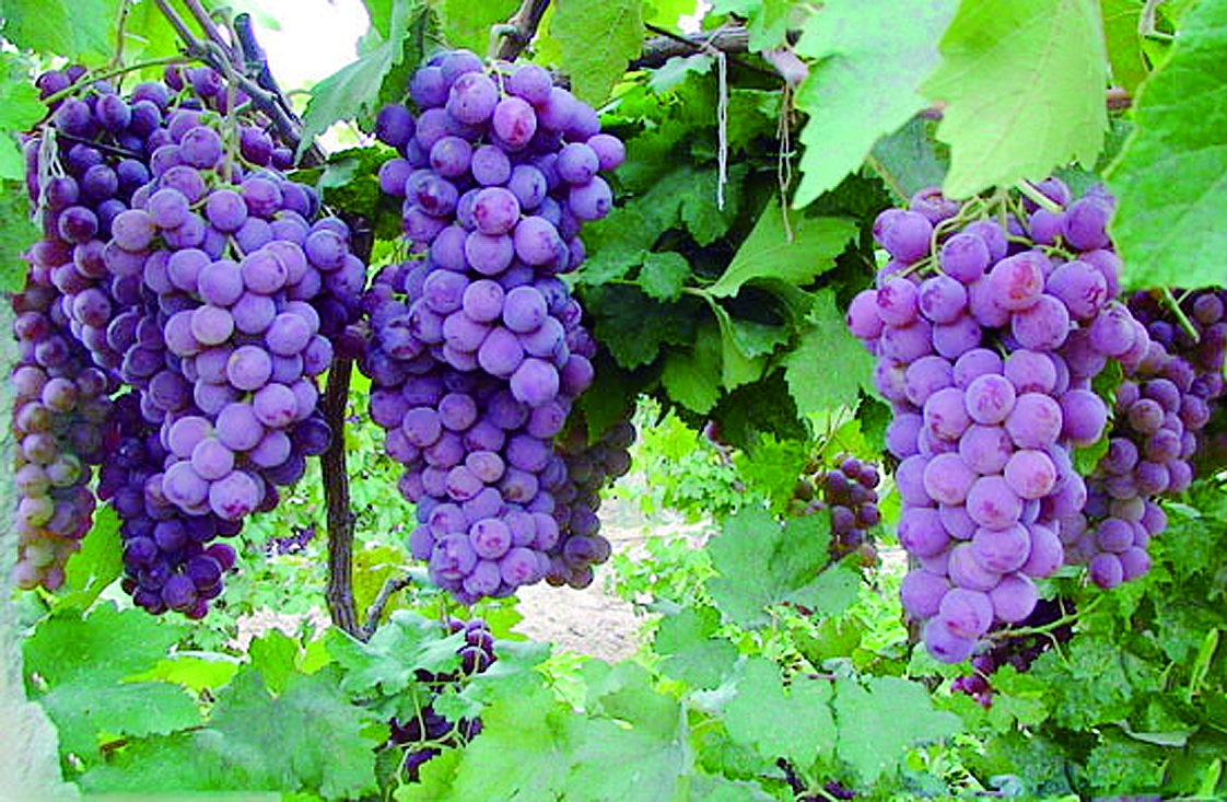 �����ػ��ʴ����a(ch��n)