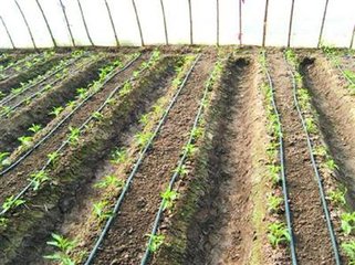 �ЙC���c���ʴ�������Щ��̎��