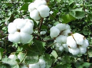 �޻��~���ʩ���������Щ��