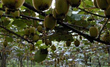 �J���Ҷ���ʩ�ʼ��g(sh��)��ע�����