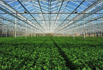 �Oʩ�߲��ЙC��������ʼ��g����