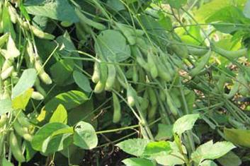 ����ôʩ�ʣ���ʩ�ʼ��g(sh��)