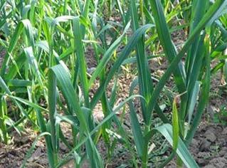 ��ô�o����ʩ�ʣ�����ʩ�ʵķ���