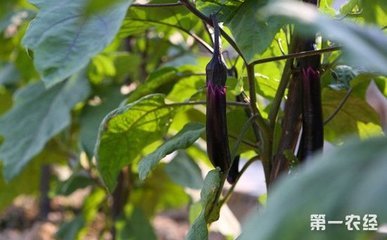 ���ӵ�������c��ʩ�ʼ��g