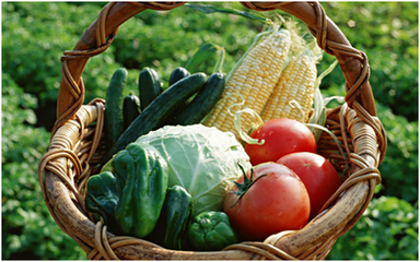 �ЙC��������ʼ��g�������t�����˲�ԓ�x�ķNģʽ��