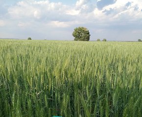 �����ٷ����~�����������ˮ�ܷ���ô���Ǳ����ϣ�