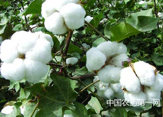 �޻�ʩ��⛷ʼ��g