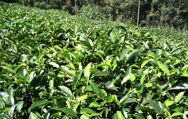 ʷ����ȫ�����������ЙC��ʹ�ü��g��