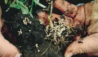 ُ�I΢������ϵ�ע�����