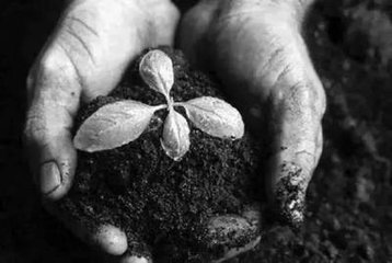 ����Ч����������ԭ��ֻ�Ђz����