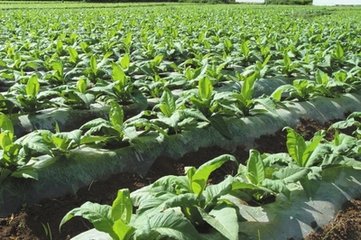 �����߲˛_ʩ��ע�����