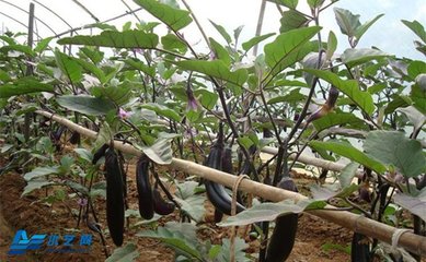 ����ʩ�ʵ�ע�����