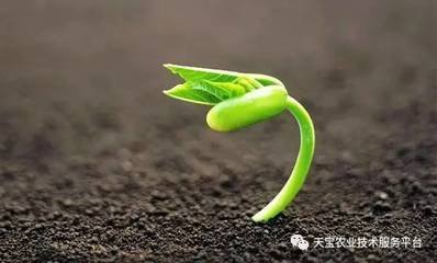 ʩ��΢���������Ҫע����Щ���}��