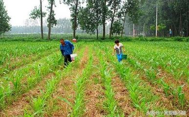 �@����ʩ�ʶ�a(ch��n)���ϲ�ȥ������ԭ��