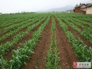 ������ôƽ��ʩ�ʣ�