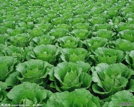 �y��ʩ���е���⛵Ŀ��Ƽ��g(sh��)