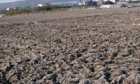 ������������ؽ�����Ⱦ�����ҽ��h��ʩ�A�Է���