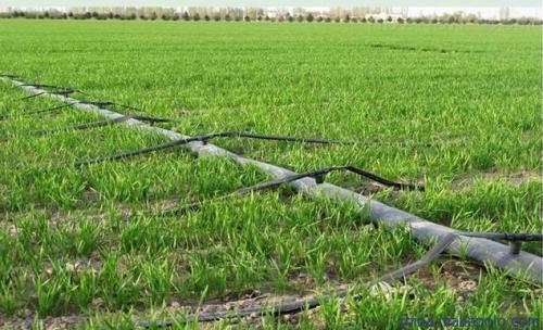 �ι�ʩ�ʼ��g�@ƪ�vȫ��