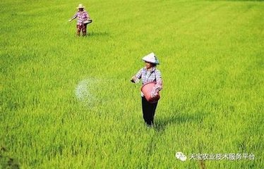 С��׷ʩ���أ�����Ҫ�������ɡ����P��Ҫ��