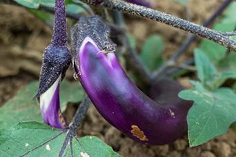  ����ʩ������Щԭ�t�����ӵ�ʩ�ʵ�ԭ�t