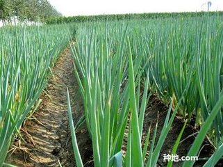 ���[��οƌW(xu��)ʩ�ʣ����[��ʩ�ʼ��g(sh��)