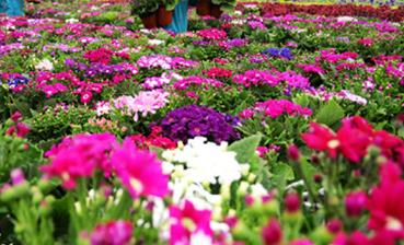 ������ôʩ�ʣ����ܵ�ʩ�ʼ��g