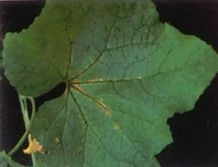 �����߲�ʩ���^����(d��o)����������