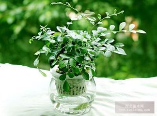 ˮ�໨�ܵ�ʩ�ʼ��g