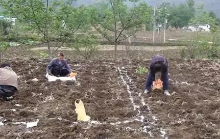 �ٺõķ�����Ҳ���@Щ���F��֪��߀������