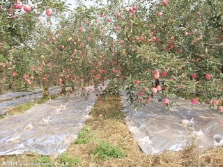 �ٺõ��ЙC�ʣ�Ҳ���ܺ�ҕ�@Щ�� ���@����զ�÷���