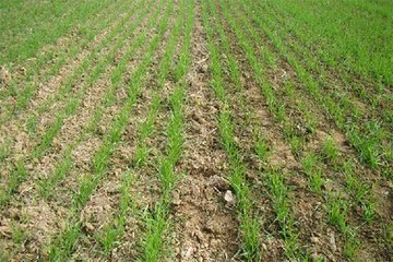 С��ʩ��΢�ʵļ���