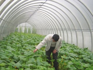 �����߲˷ʺ��A����ʩ