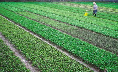 �o�����ϲ���ôʩ�ʣ�